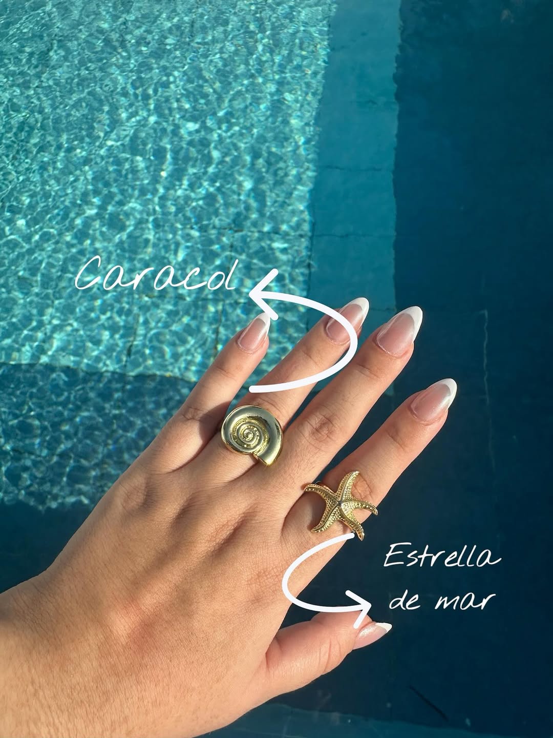 Anillos dorados de caracol y estrella de mar en la mano